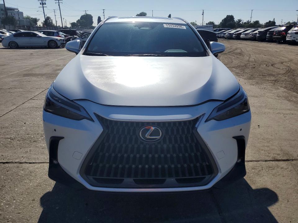 Продаж на аукціоні авто 2025 Lexus Nx 250, vin: JTJADCAZ6S5024491, номер лоту: 53434936