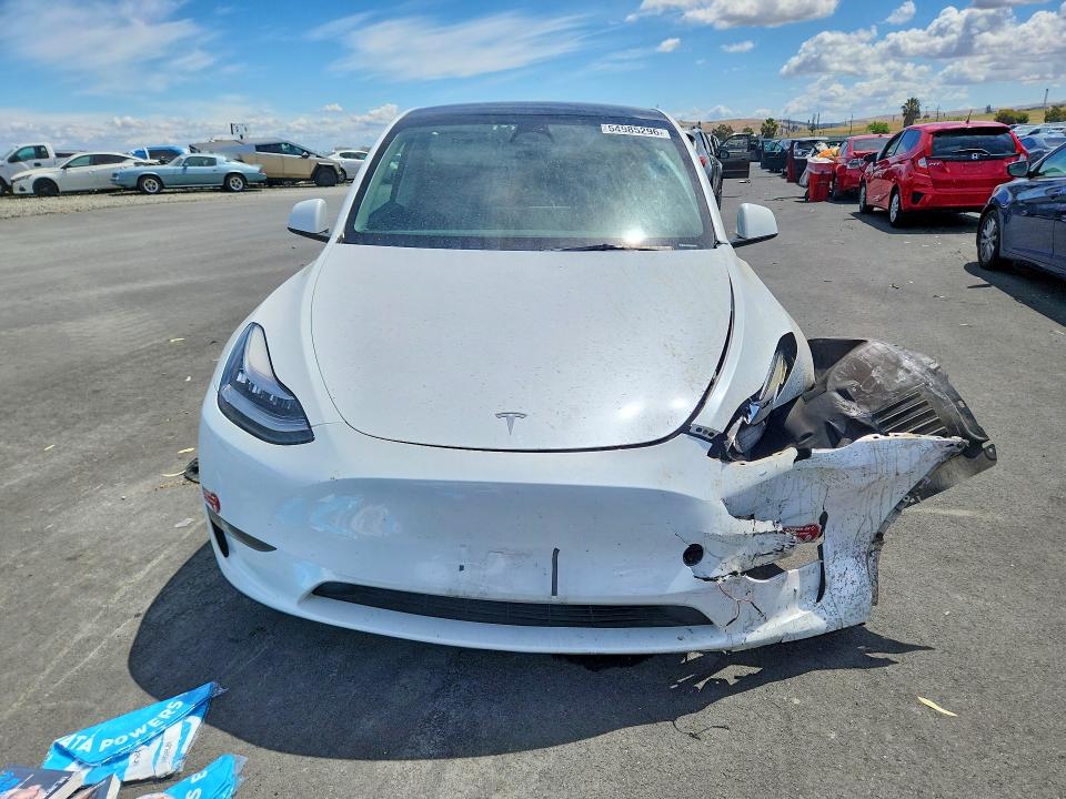 Продаж на аукціоні авто 2023 Tesla Model Y, vin: 7SAYGDEE0PA083337, номер лоту: 54985296