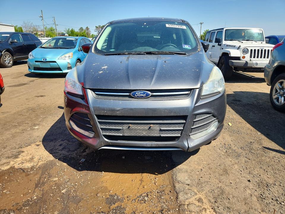 Auction sale of the 2015 Ford Escape, vin: 1FMCU9GX4FUC72508, lot number: 53937936