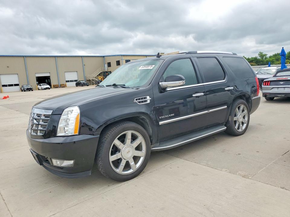Продажа на аукционе авто 2010 Cadillac Escalade, vin: 1GYUCBEF1AR259119, номер лота: 53640076