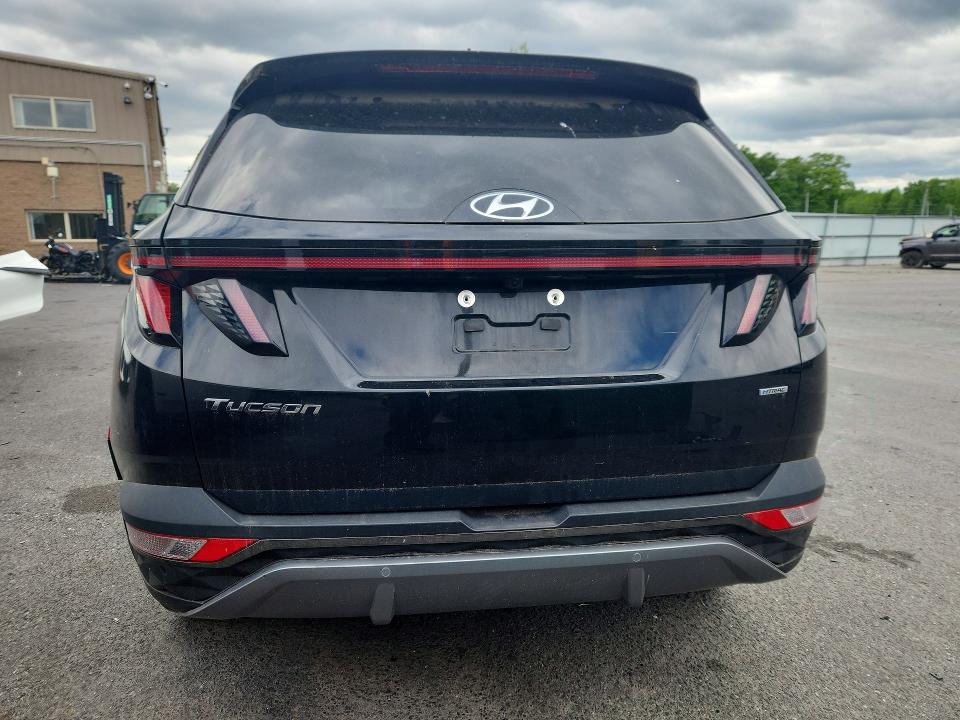 Продажа на аукционе авто 2024 Hyundai Tucson, vin: 5NMJECDE8RH329569, номер лота: 53987266
