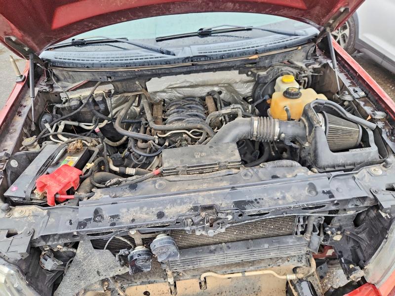 51688346 :رقم المزاد ، 1FTFW1EF2EKE59991 vin ، 2014 Ford F150 مزاد بيع