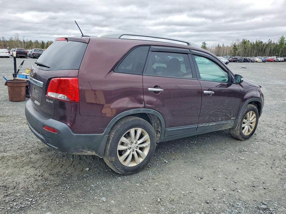 2011 Kia Sorento მანქანა იყიდება აუქციონზე, vin: 5XYKUDA20BG061902, აუქციონის ნომერი: 53512686