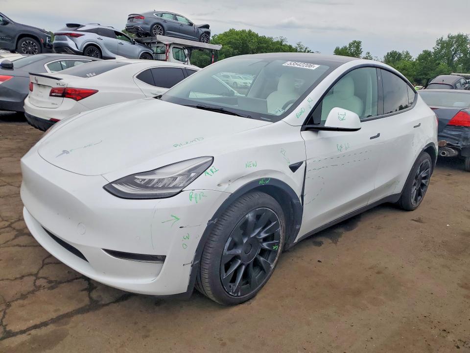 53542206 :رقم المزاد ، 5YJYGDEE4MF121051 vin ، 2021 Tesla Model Y مزاد بيع