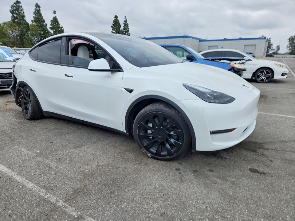 Продаж на аукціоні авто 2024 Tesla Model Y, vin: 7SAYGDEE6RF089603, номер лоту: 54885096