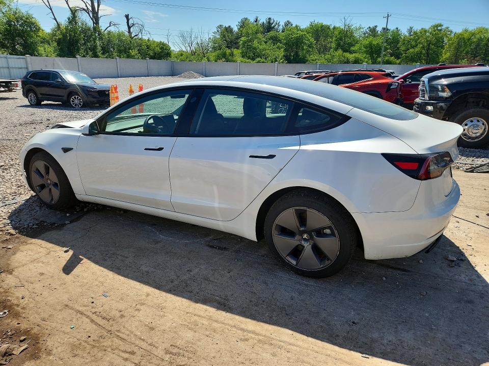 Продаж на аукціоні авто 2023 Tesla Model 3, vin: 5YJ3E1EA9PF501177, номер лоту: 54694976