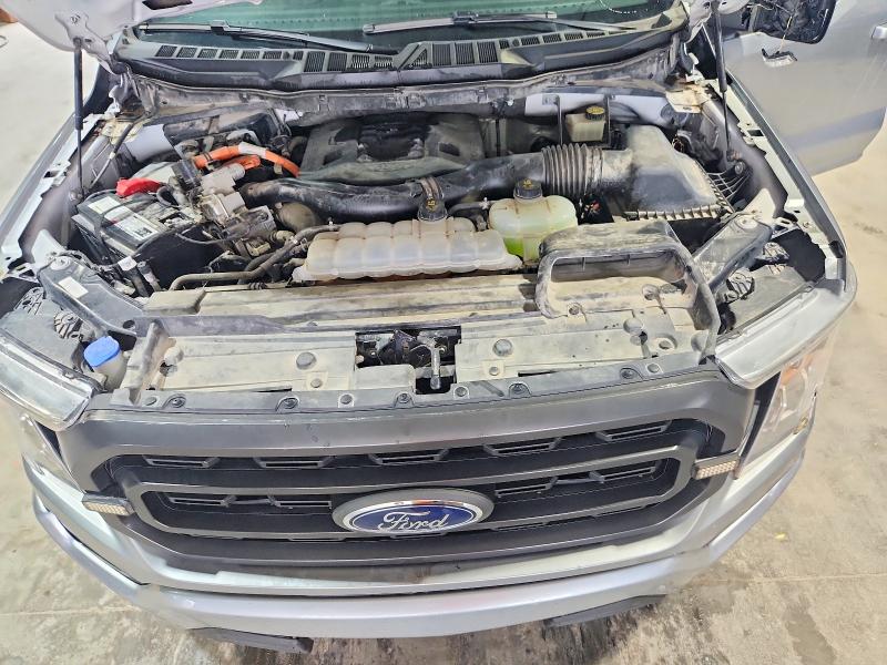 Продажа на аукционе авто 2021 Ford F150, vin: 1FTFW1ED5MFB27291, номер лота: 55304796