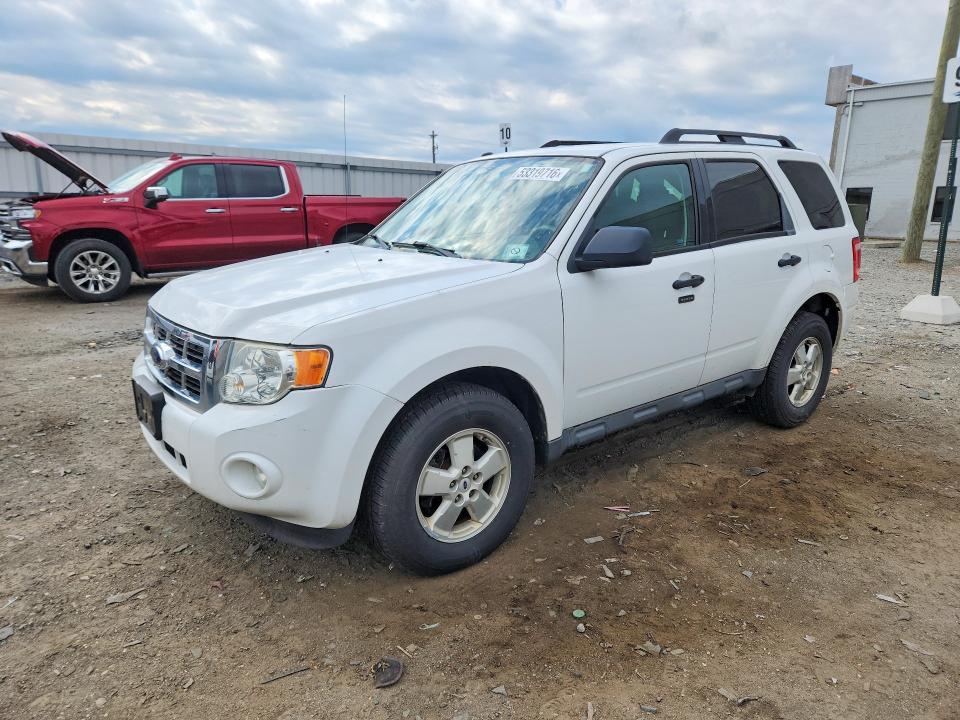 Продаж на аукціоні авто 2009 Ford Escape, vin: 1FMCU93G49KA86196, номер лоту: 53319716