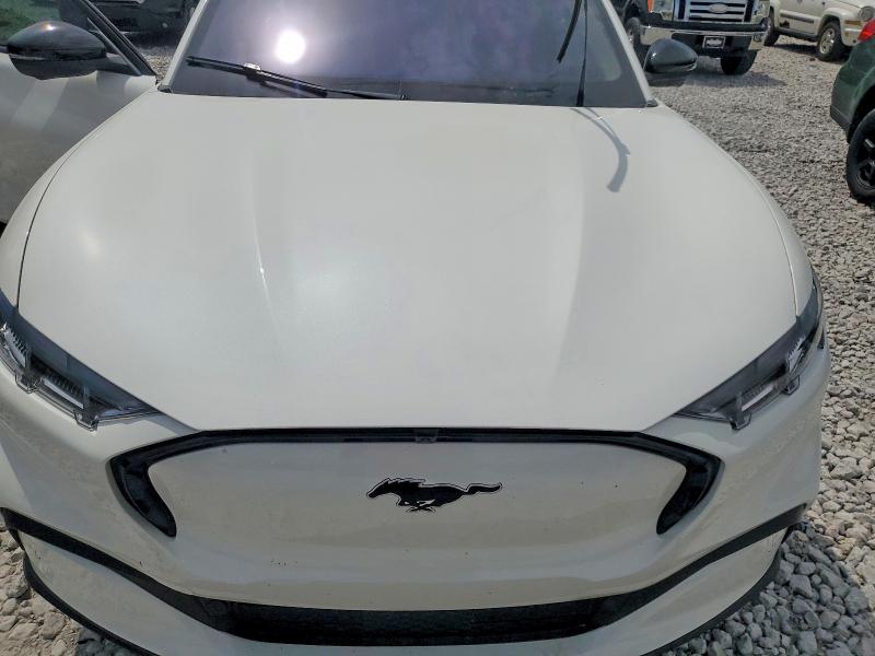 Продаж на аукціоні авто 2025 Ford Mustang Mach-e, vin: 3FMTK3SU5SMA15341, номер лоту: 54447656