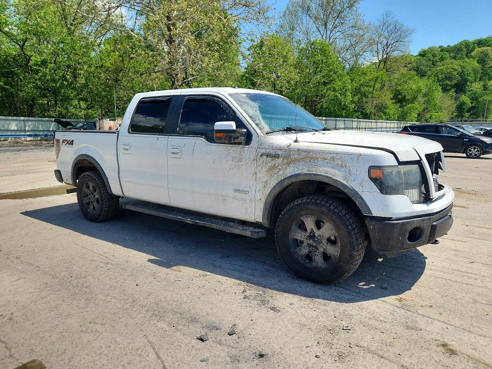 52971796 :رقم المزاد ، 1FTFW1ET6EFA83245 vin ، 2014 Ford F150 مزاد بيع