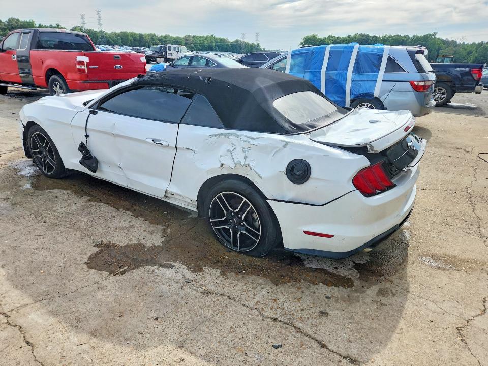 52199256 :رقم المزاد ، 1FATP8UH4K5104378 vin ، 2019 Ford Mustang مزاد بيع