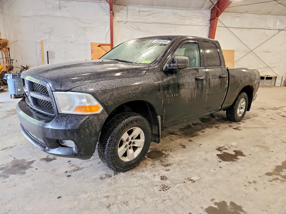 2010 Dodge 1500 მანქანა იყიდება აუქციონზე, vin: 1D7RV1GT6AS217725, აუქციონის ნომერი: 53564946