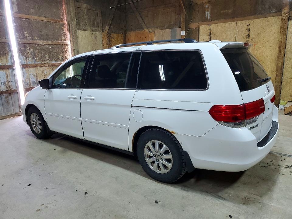 Продажа на аукционе авто 2009 Honda Odyssey, vin: 5FNRL38679B002335, номер лота: 52585316
