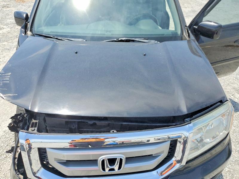 Продаж на аукціоні авто 2009 Honda Pilot, vin: 5FNYF38519B016273, номер лоту: 55500396
