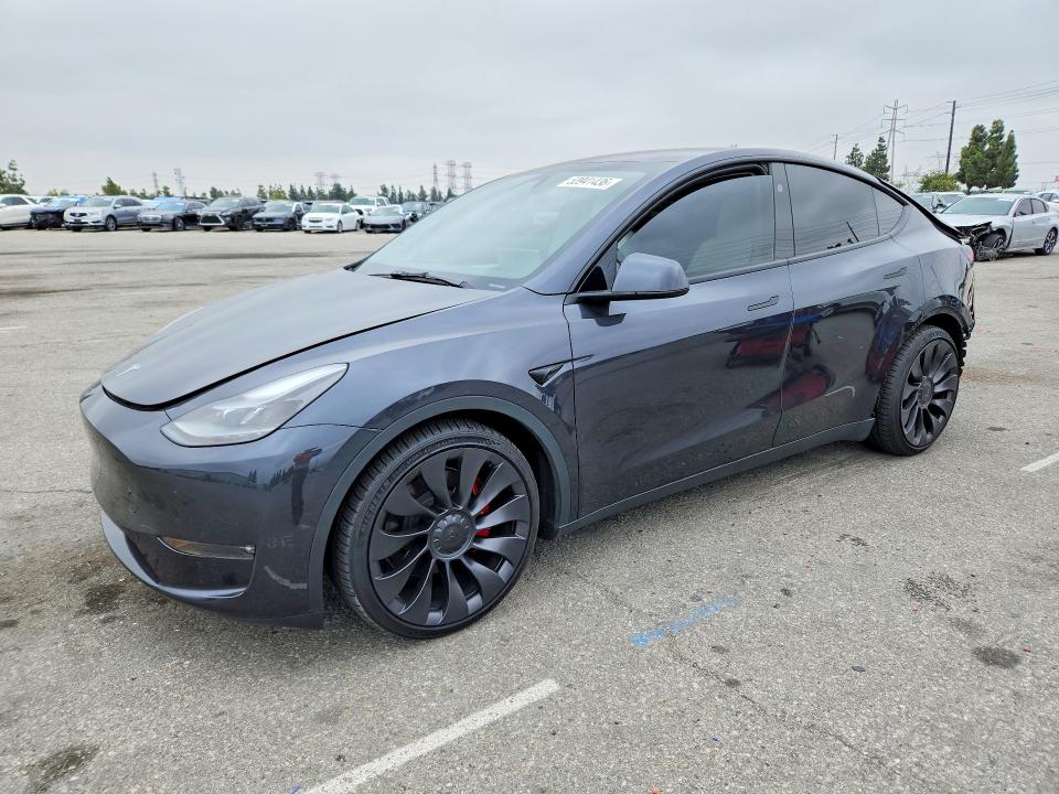 Auction sale of the 2024 Tesla Model Y, vin: 7SAYGDEF3RF024491, lot number: 53941436