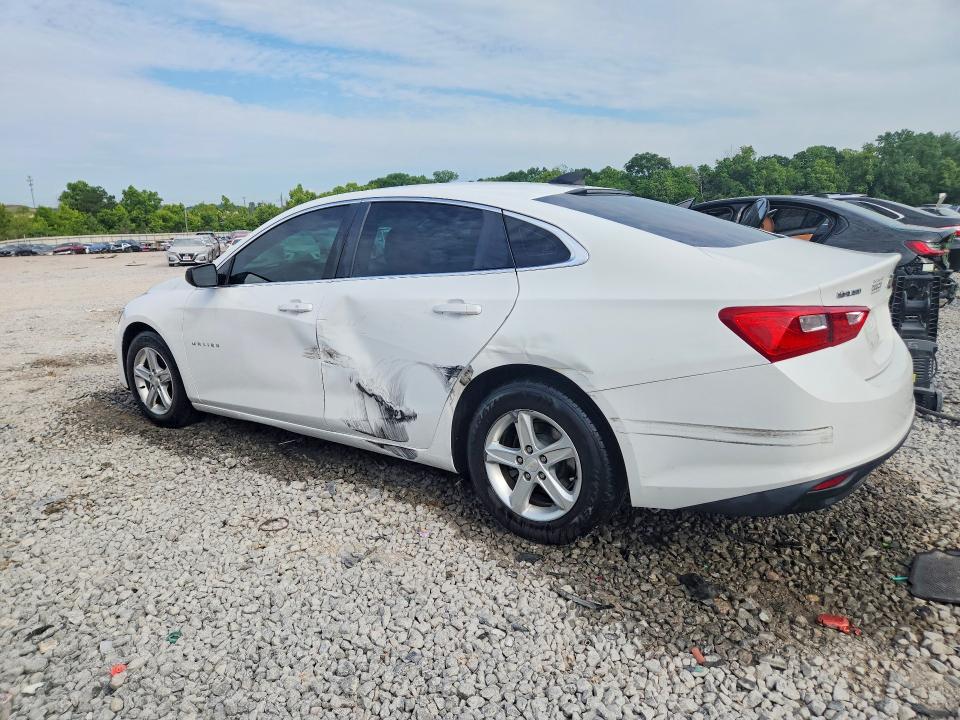 Продаж на аукціоні авто 2019 Chevrolet Malibu, vin: 1G1ZB5ST0KF219412, номер лоту: 53267696
