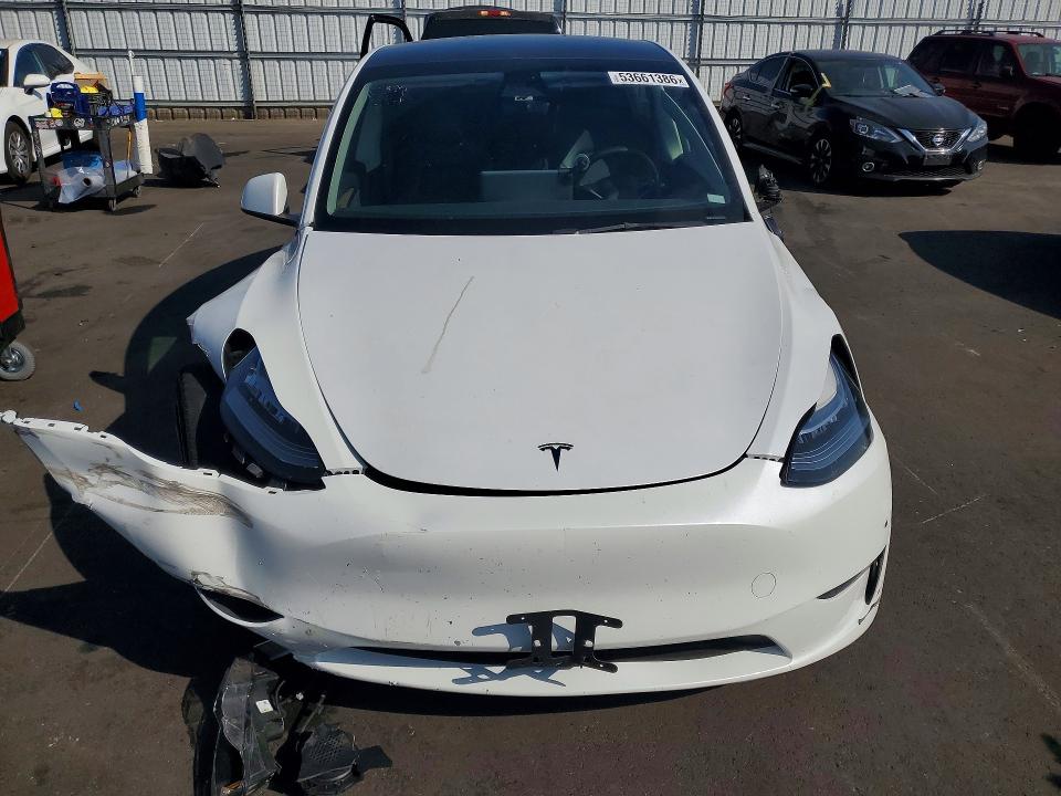 Aukcja sprzedaży 2023 Tesla Model Y, vin: 7SAYGDEE1PA025737, numer aukcji: 53661386