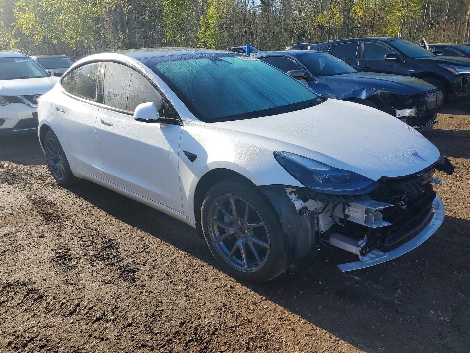 Продажа на аукционе авто 2023 Tesla Model 3, vin: LRW3E1EB3PC843694, номер лота: 53548686