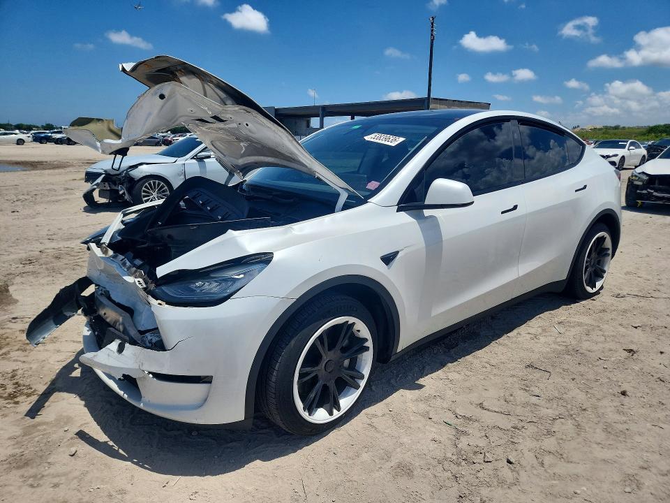 Auction sale of the 2023 Tesla Model Y, vin: 7SAYGDEE7PA147079, lot number: 53839636