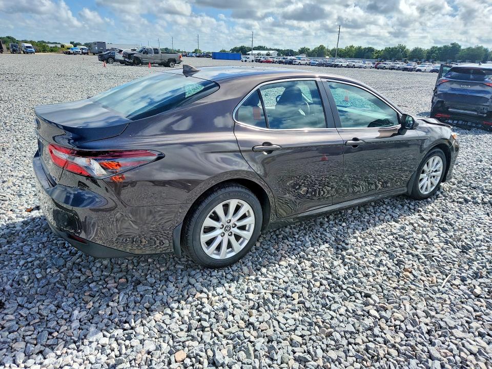 Продаж на аукціоні авто 2019 Toyota Camry, vin: 4T1B11HK9KU809764, номер лоту: 54211886