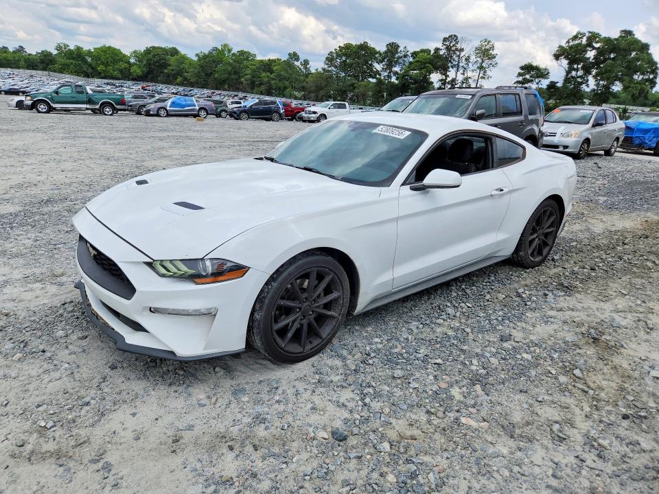 52809256 :رقم المزاد ، 1FA6P8TH5K5184532 vin ، 2019 Ford Mustang مزاد بيع