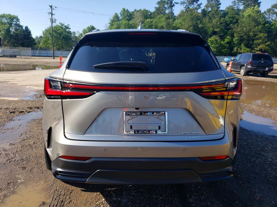 Продаж на аукціоні авто 2026 Lexus Nx, vin: 2T2GGCEZ5TC096538, номер лоту: 52935156