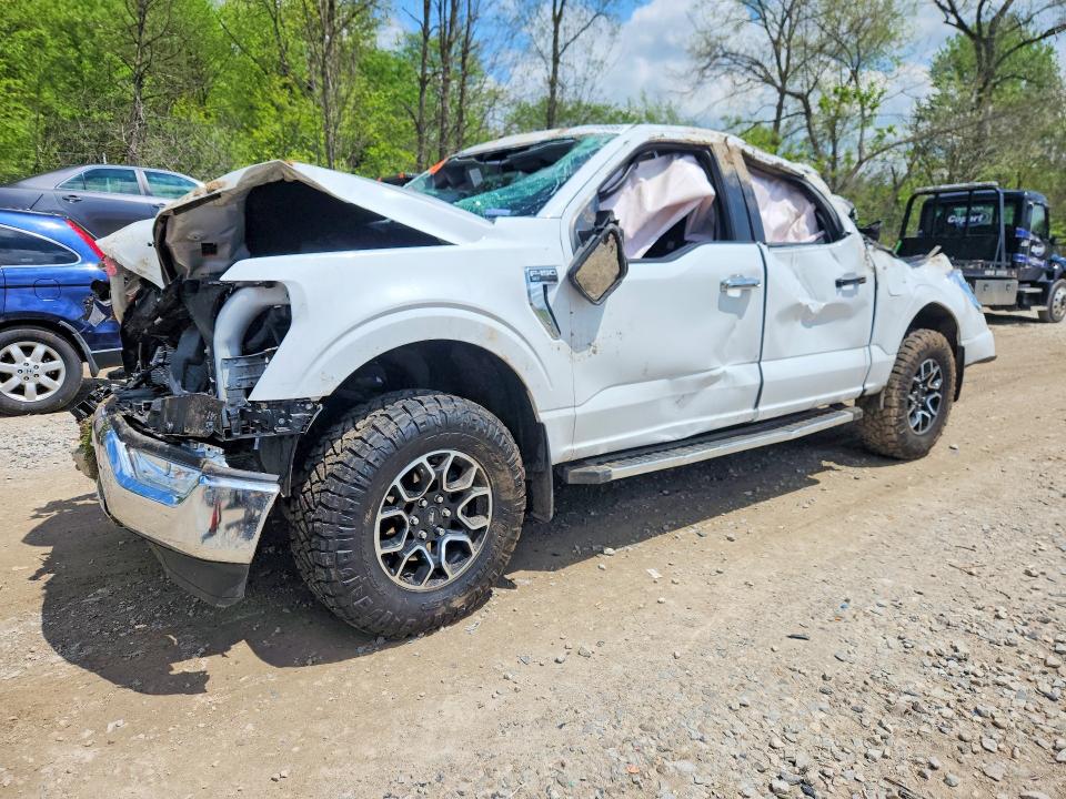 Продаж на аукціоні авто 2023 Ford F150, vin: 1FTEW1EP4PFA22820, номер лоту: 51918886