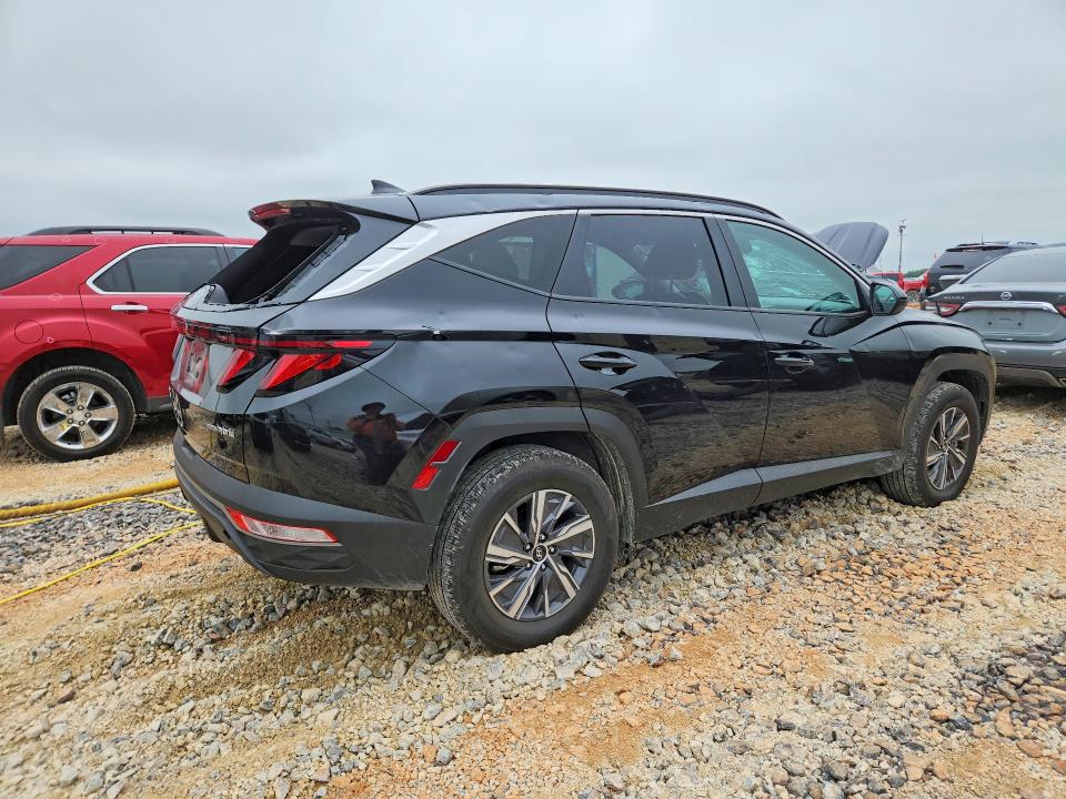 54326196 :رقم المزاد ، KM8JBCD14RU244979 vin ، 2024 Hyundai Tucson مزاد بيع