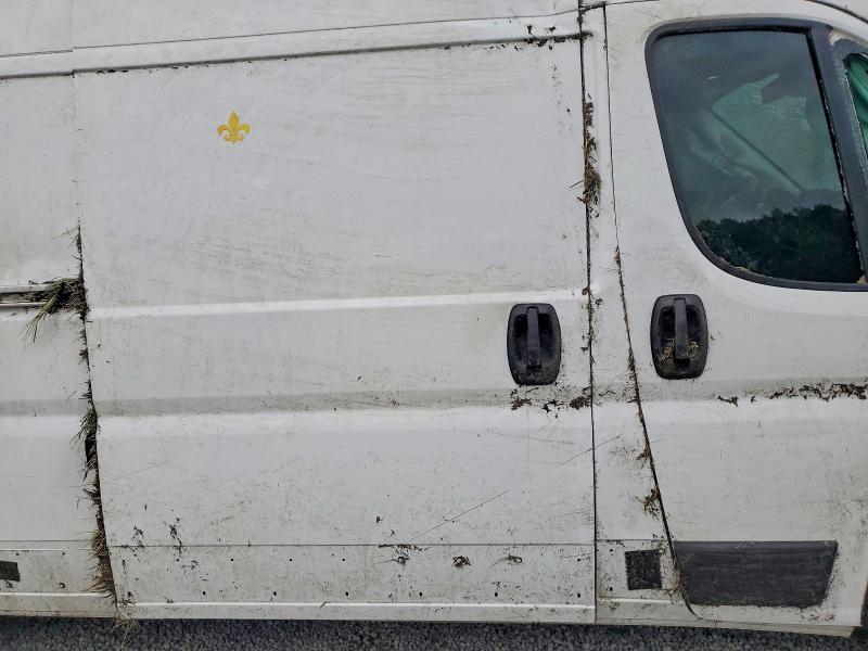 Aukcja sprzedaży 2024 Ram Promaster 3500, vin: 3C6MRVJG5RE130402, numer aukcji: 52991866
