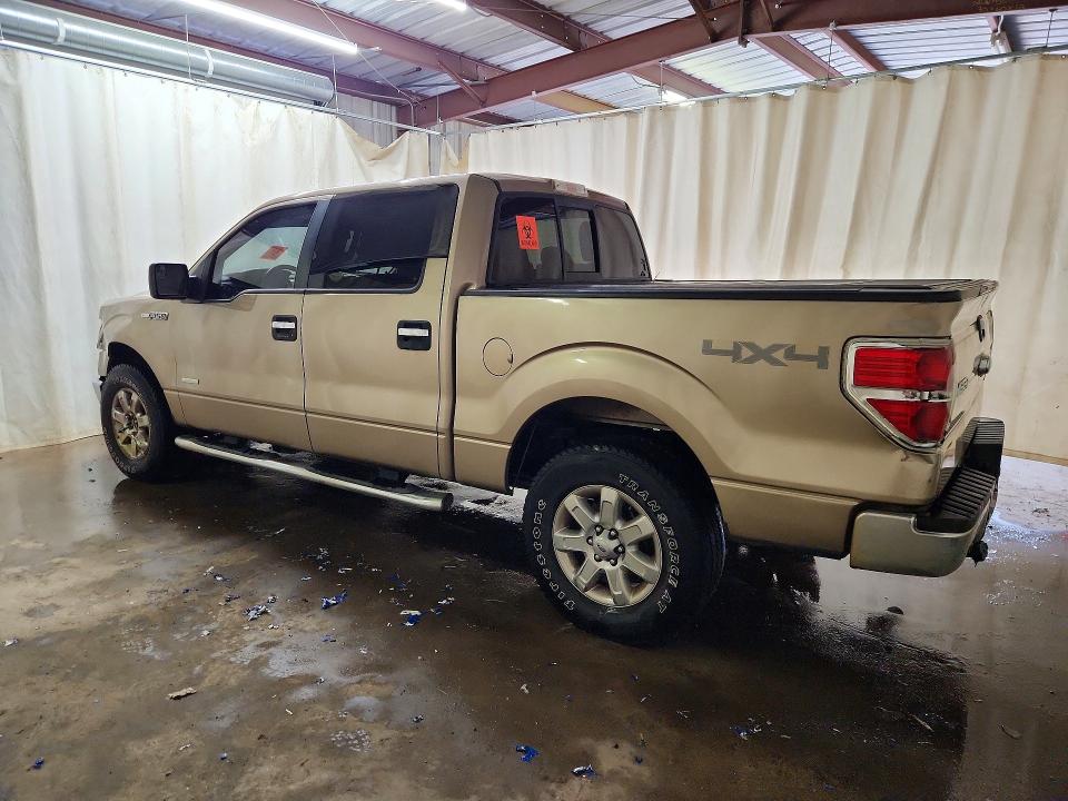 Продажа на аукционе авто 2013 Ford F150, vin: 1FTFW1ETXDKE49195, номер лота: 54999596