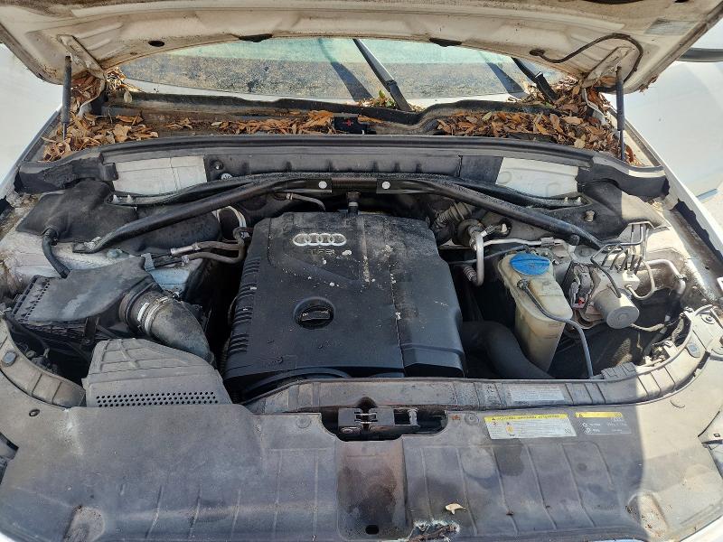 2013 Audi Q5 მანქანა იყიდება აუქციონზე, vin: WA1CFAFP3DA019495, აუქციონის ნომერი: 55545506