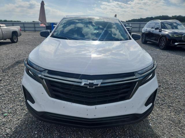 Продаж на аукціоні авто 2023 Chevrolet Equinox, vin: 3GNAXHEG7PL198455, номер лоту: 52312266