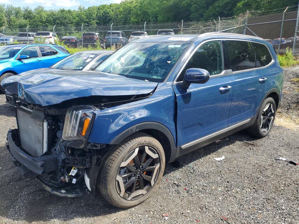 Продажа на аукционе авто 2025 Kia Telluride, vin: 5XYP6DGC3SG680915, номер лота: 54950626