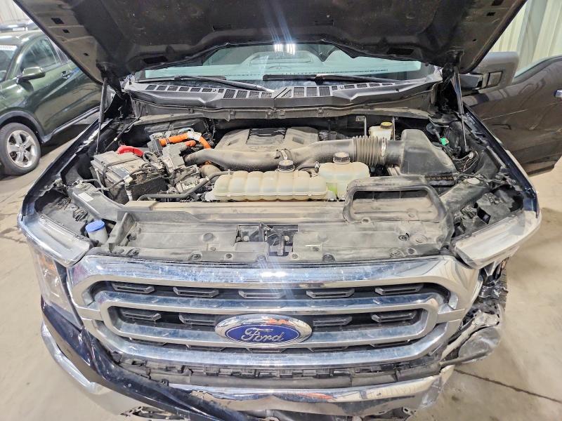 52494376 :رقم المزاد ، 1FTFW1ED8MFA70410 vin ، 2021 Ford F150 مزاد بيع