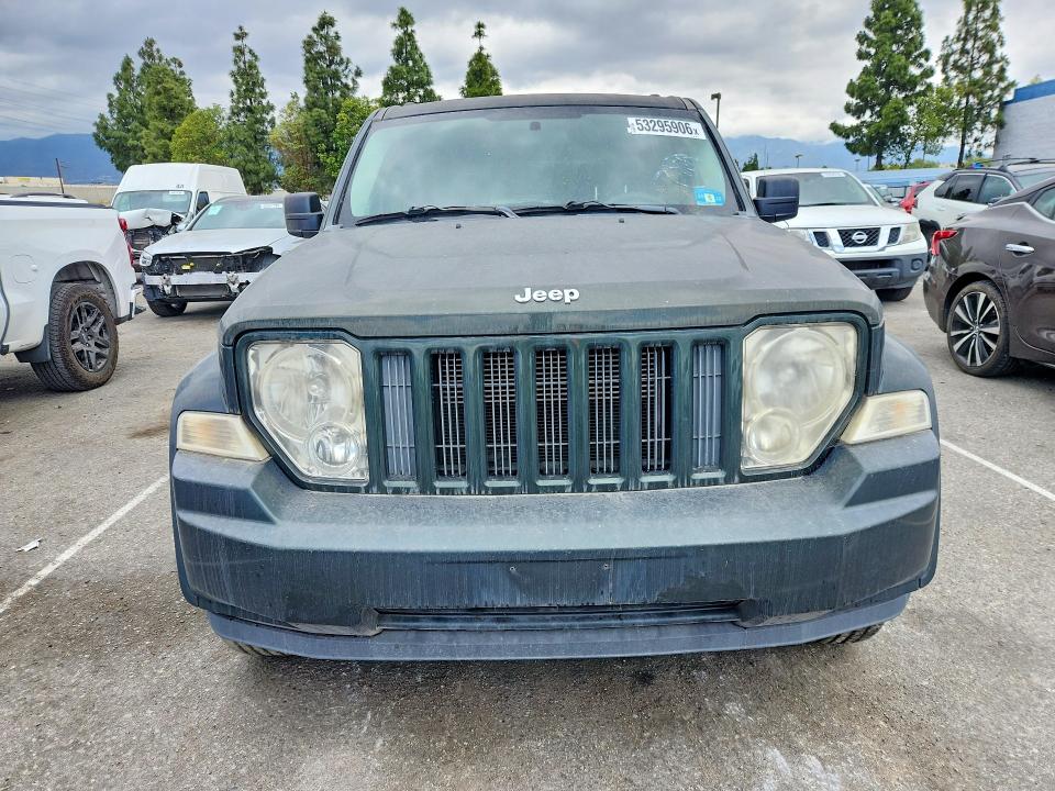 Продаж на аукціоні авто 2011 Jeep Liberty, vin: 1J4PN2GK1BW503551, номер лоту: 53295906