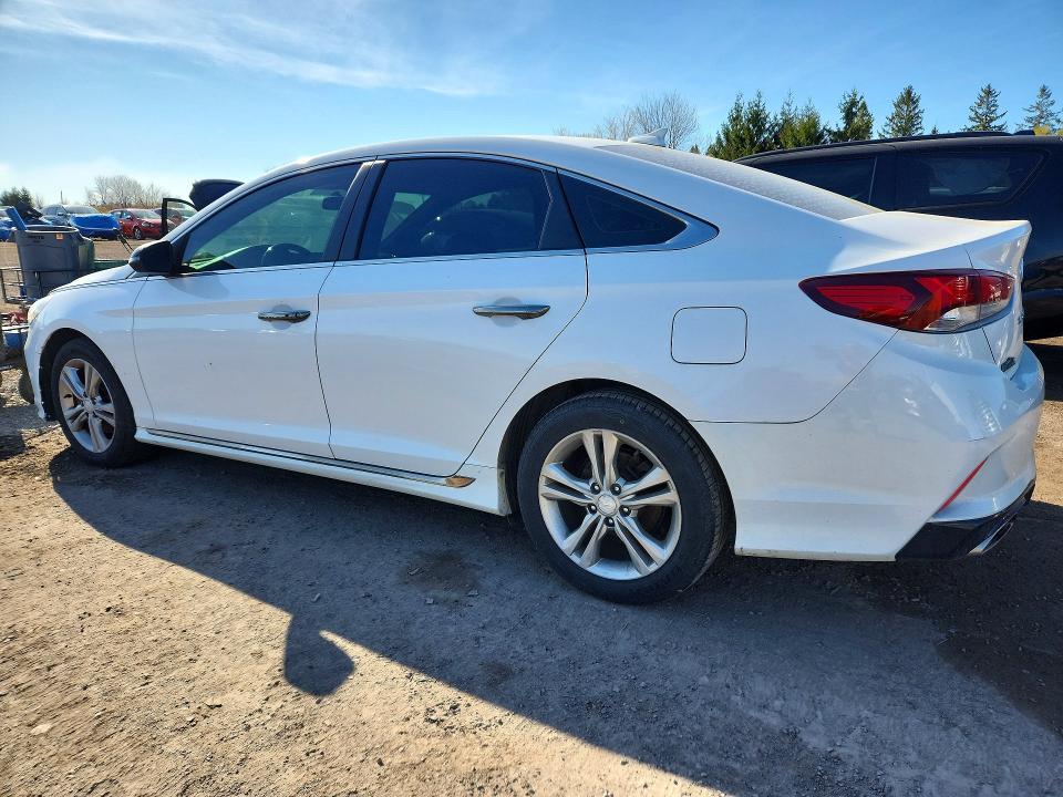 53572106 :رقم المزاد ، 5NPE34AF5KH748255 vin ، 2019 Hyundai Sonata مزاد بيع