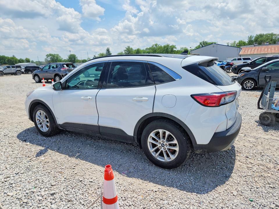 Продаж на аукціоні авто 2020 Ford Escape, vin: 1FMCU0G69LUB29522, номер лоту: 54382686