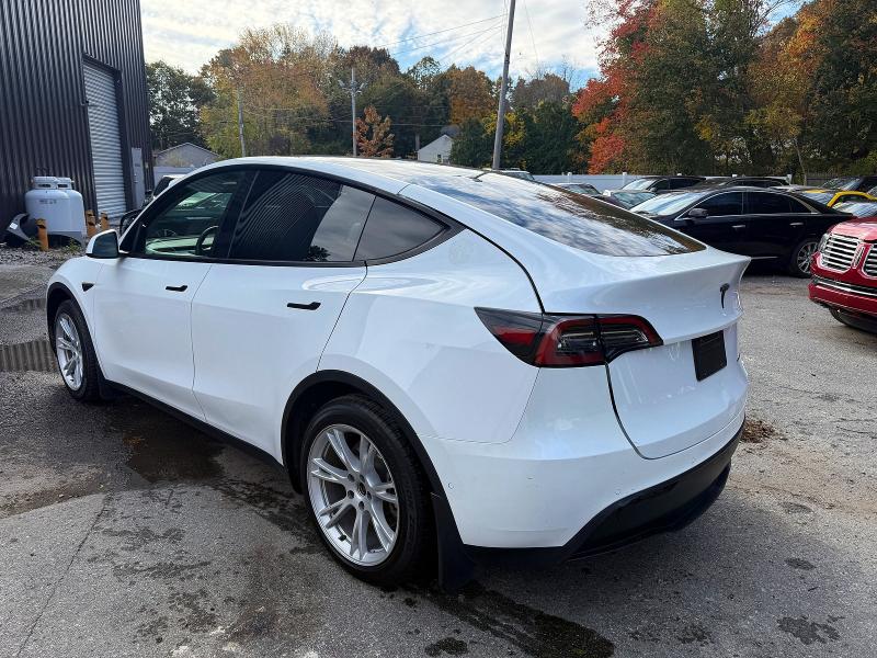 52299556 :رقم المزاد ، 5YJYGDEE5MF295078 vin ، 2021 Tesla Model Y مزاد بيع