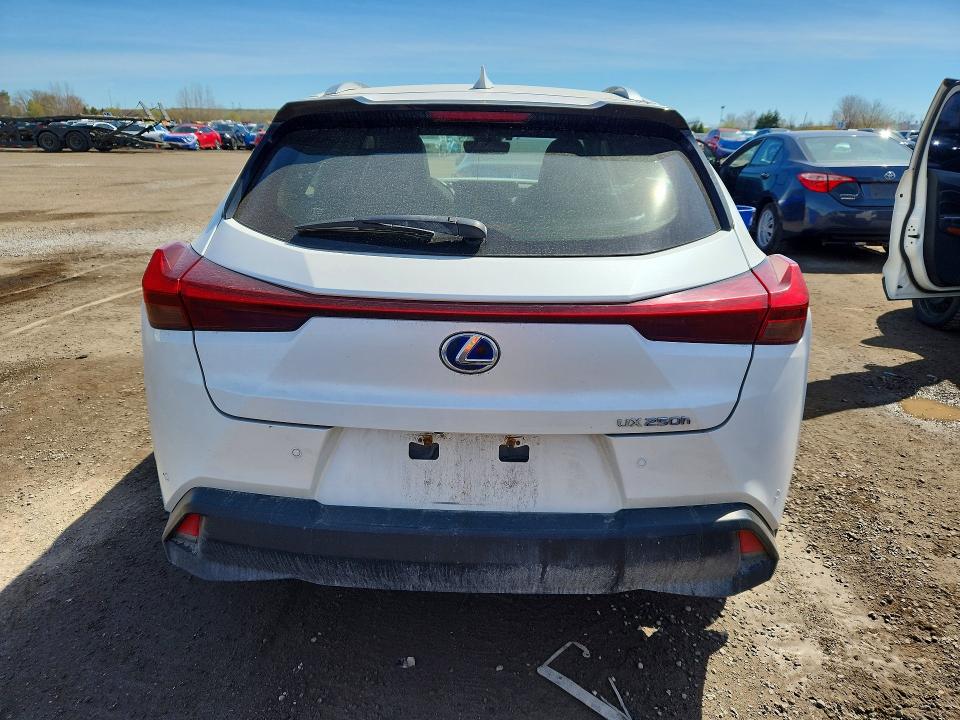 51689866 :رقم المزاد ، JTHL9JBH0M2042690 vin ، 2021 Lexus Ux مزاد بيع