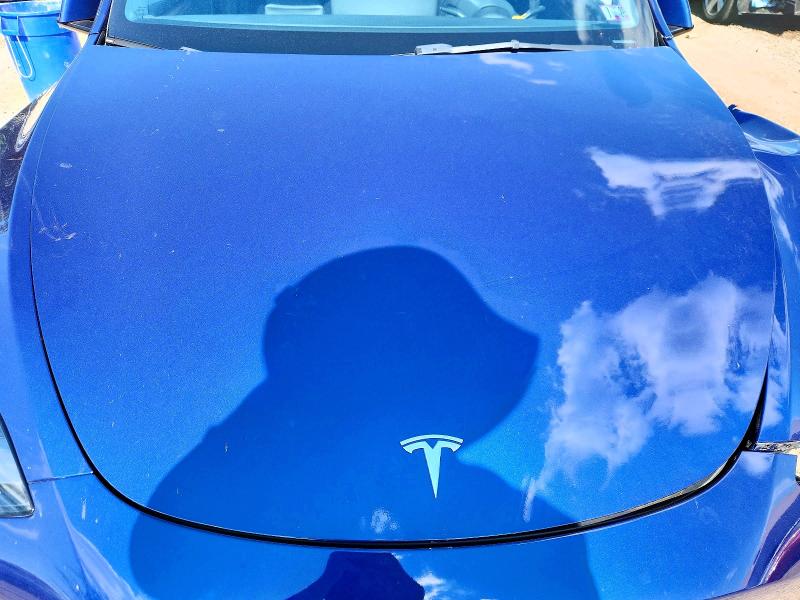 Aukcja sprzedaży 2023 Tesla Model Y, vin: 7SAYGDEE4PF672247, numer aukcji: 52201616