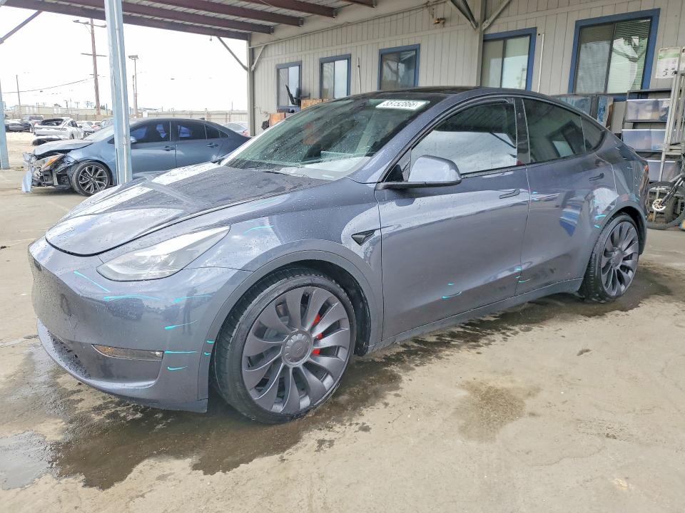 Продаж на аукціоні авто 2023 Tesla Model Y, vin: 7SAYGDEF3PF969342, номер лоту: 55152866