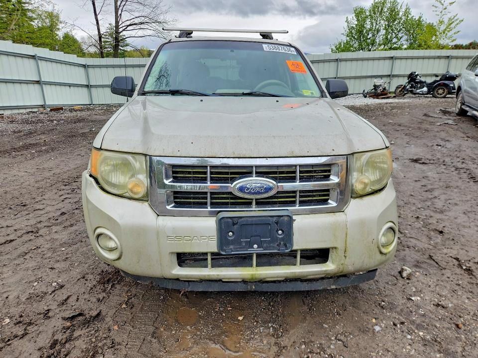 53887636 :رقم المزاد ، 1FMCU93188KB99482 vin ، 2008 Ford Escape مزاد بيع