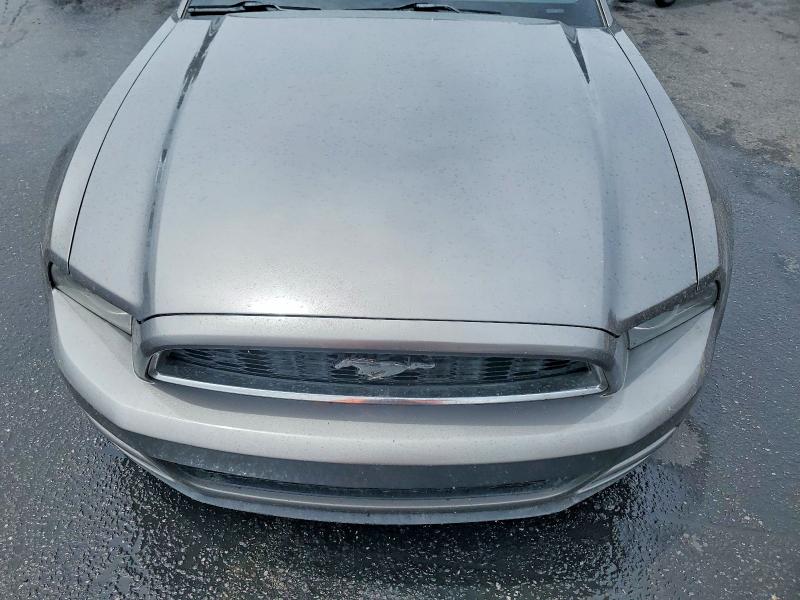 2014 Ford Mustang მანქანა იყიდება აუქციონზე, vin: 1ZVBP8EMXE5208554, აუქციონის ნომერი: 54550996