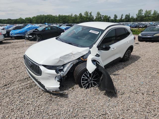 2024 Ford Escape მანქანა იყიდება აუქციონზე, vin: 1FMCU0E19RUB31030, აუქციონის ნომერი: 52459686