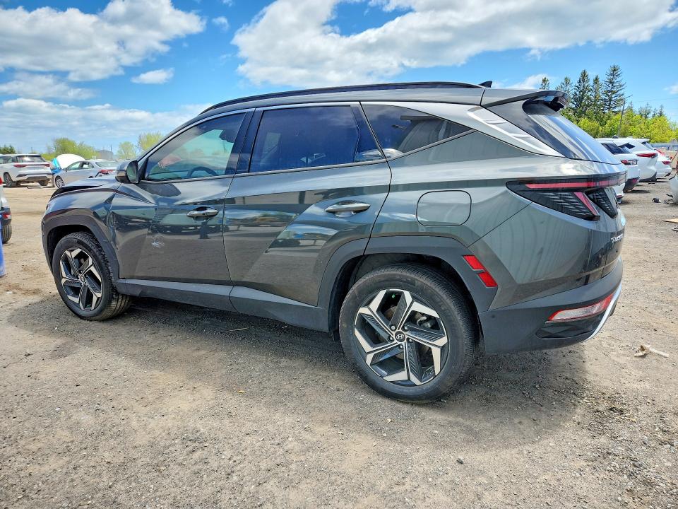 Продажа на аукционе авто 2024 Hyundai Tucson, vin: KM8JCCD11RU195592, номер лота: 54592346