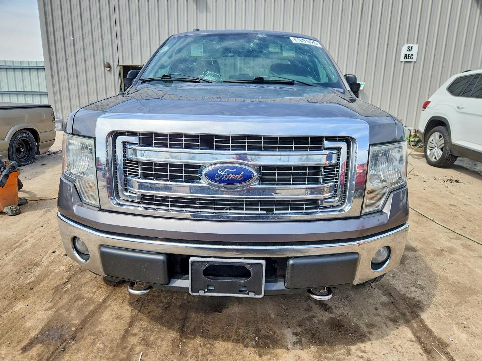 52208106 :رقم المزاد ، 1FTFX1EF8DFC81895 vin ، 2013 Ford F150 مزاد بيع