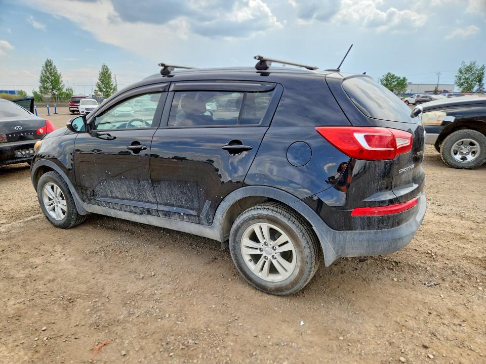 Aukcja sprzedaży 2013 Kia Sportage, vin: KNDPB3A21D7451218, numer aukcji: 55558686