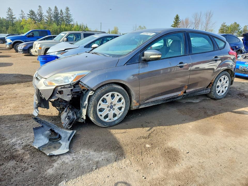 Продажа на аукционе авто 2013 Ford Focus, vin: 1FADP3K24DL119631, номер лота: 53344216