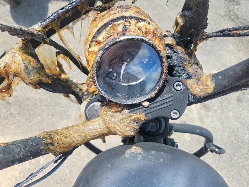 Продаж на аукціоні авто 2021 Harley-davidson Xl1200, vin: 1HD1LP314MB416165, номер лоту: 54605586
