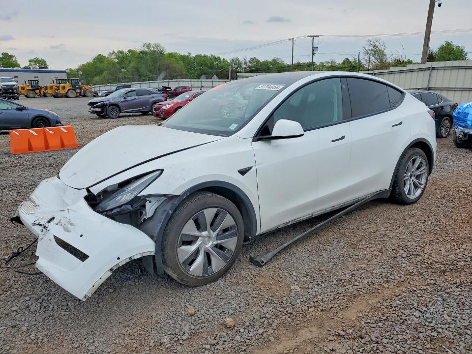 Продаж на аукціоні авто 2021 Tesla Model Y, vin: 5YJYGDEE8MF231407, номер лоту: 51794066